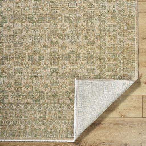 Surya Renaissance BORI-2304 7'10" x 9'10" Rug