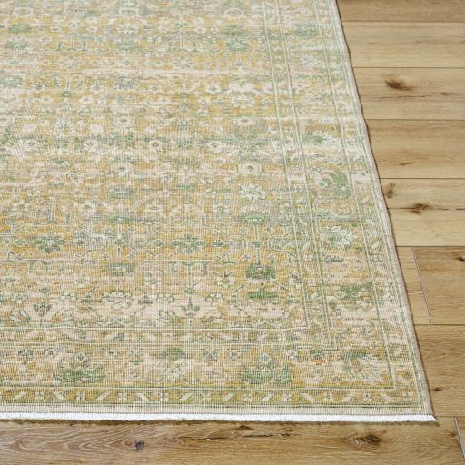 Surya Renaissance BORI-2306 6'5" x 8'10" Rug