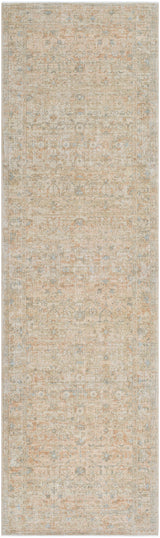 Surya Renaissance BORI-2307 1'11" x 2'11" Rug