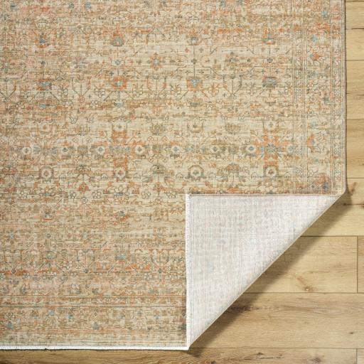 Surya Renaissance BORI-2307 1'11" x 2'11" Rug