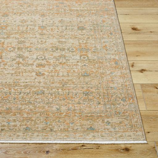 Surya Renaissance BORI-2307 8'10" x 11'10" Rug