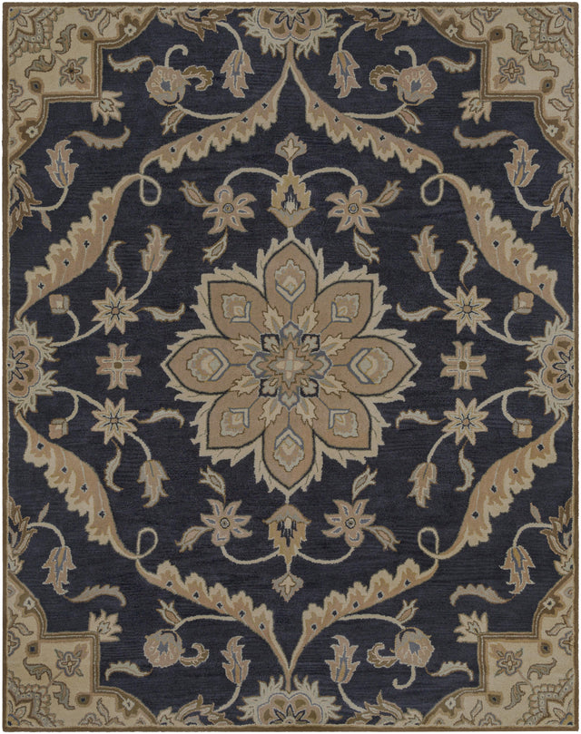 Surya Caesar CAE-1113 2' x 3' Rug