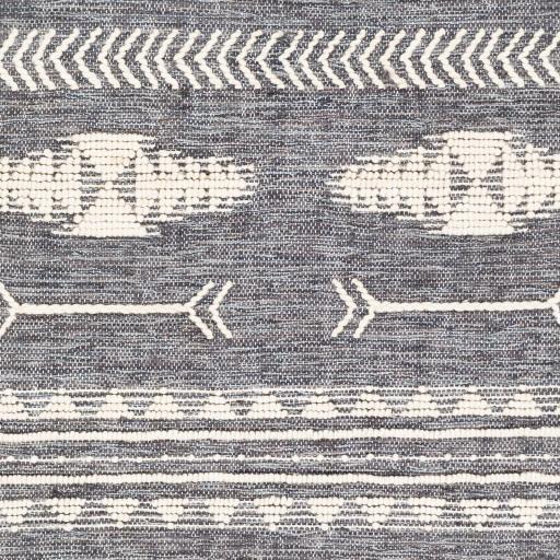 Surya Cheyenne Naturals CNA-2301 4' x 6' Rug