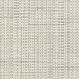 Surya Daniel DNL-3001 2' x 3' Rug