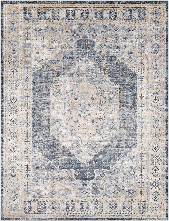 Surya Durham DUR-1015 2' x 2'11" Rug