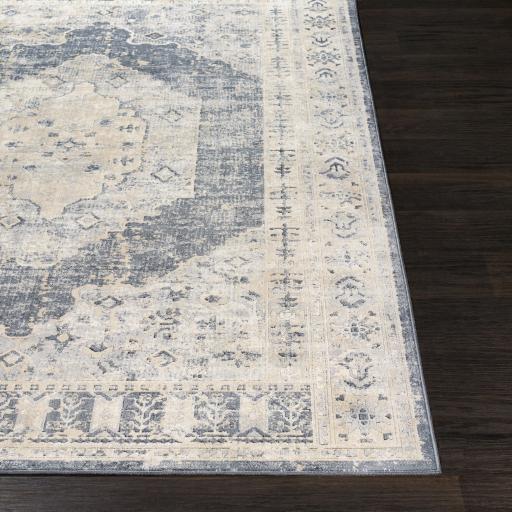 Surya Durham DUR-1015 2' x 2'11" Rug
