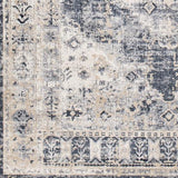 Surya Durham DUR-1015 2' x 2'11" Rug