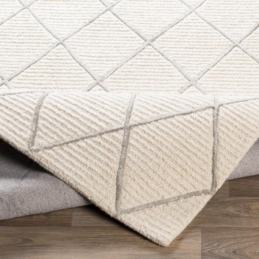 Surya Eaton EAT-2303 2' x 3' Rug