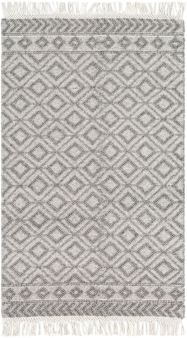 Surya Farmhouse Tassels FTS-2302 2'6" x 8' Rug