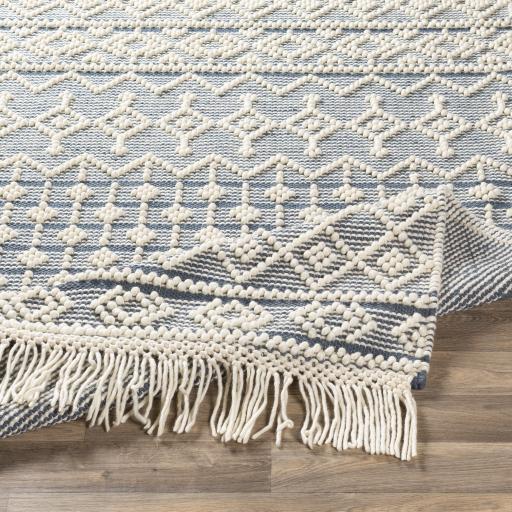 Surya Farmhouse Tassels FTS-2304 2'6" x 8' Rug