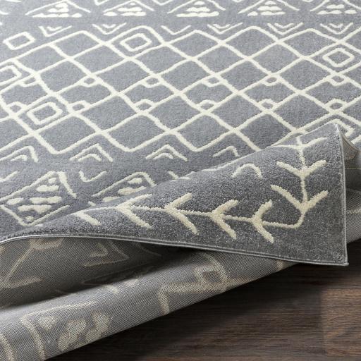 Surya Horizon HRZ-2314 2' x 3' Rug