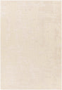 Surya Kingston KGS-2312 2' x 3' Rug