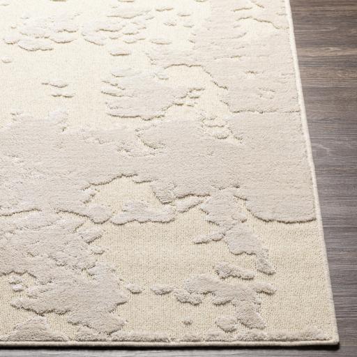 Surya Kingston KGS-2312 2' x 3' Rug