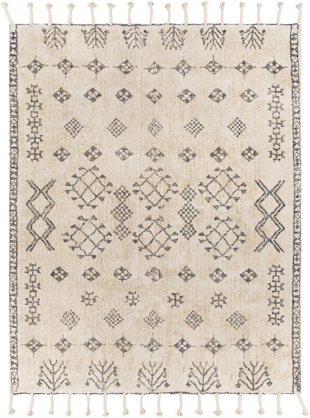 Surya Khemisset KMS-2309 2'6" x 4' Rug