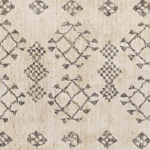 Surya Khemisset KMS-2309 2'6" x 4' Rug
