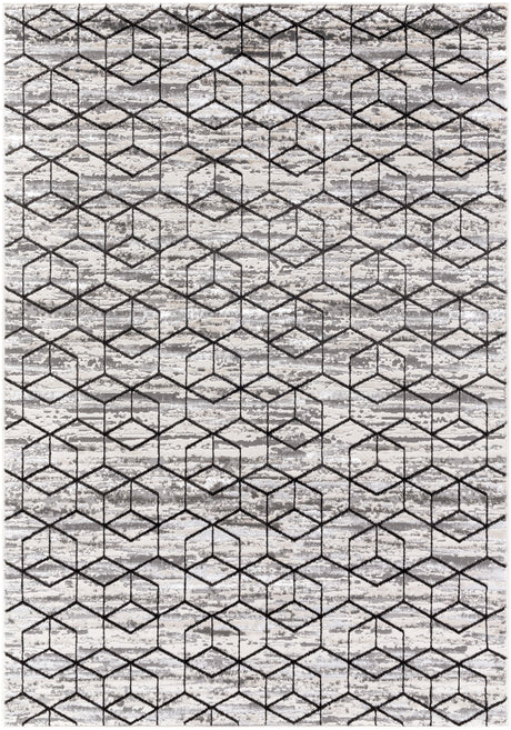 Surya Lustro LSR-2333 5'3" x 7' Rug
