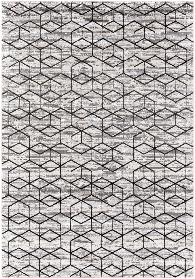 Surya Lustro LSR-2333 5'3" x 7' Rug