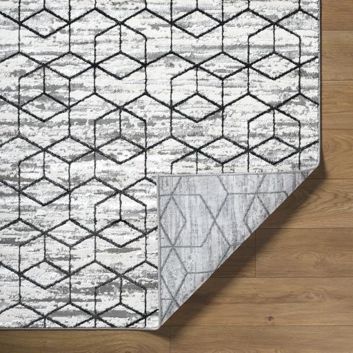 Surya Lustro LSR-2333 5'3" x 7' Rug