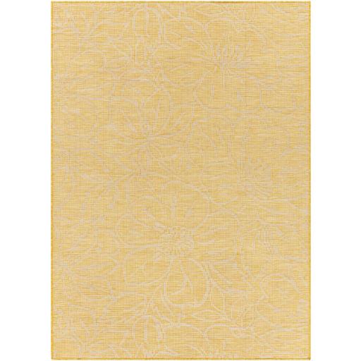 Surya Pasadena PSA-2329 2'6" x 4' Rug