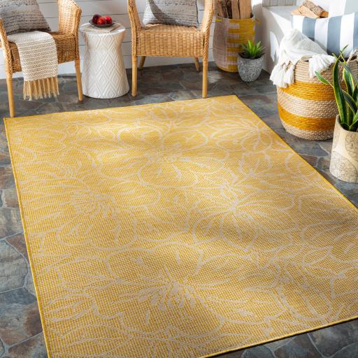 Surya Pasadena PSA-2329 2'6" x 4' Rug
