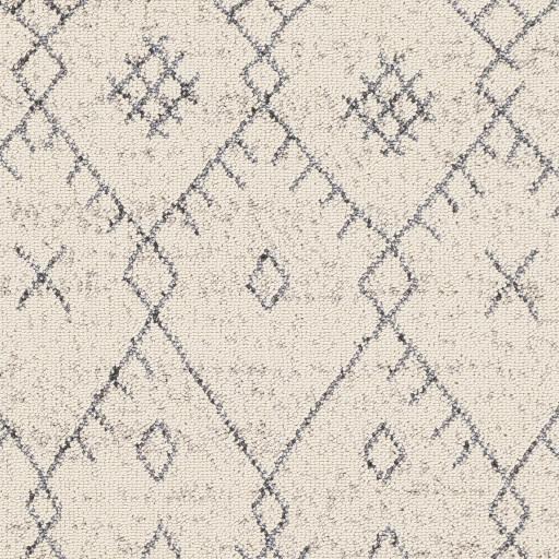 Surya Restoration REO-2309 2'7" x 10' Rug