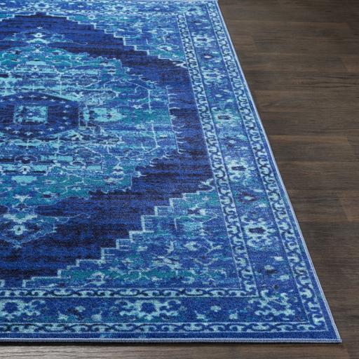Surya Silk Road SKR-2318 2' x 2'11" Rug