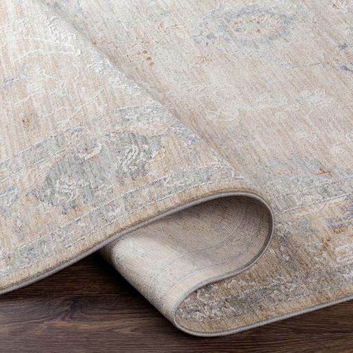 Surya Virginia VGN-2302 2' x 3'11" Rug