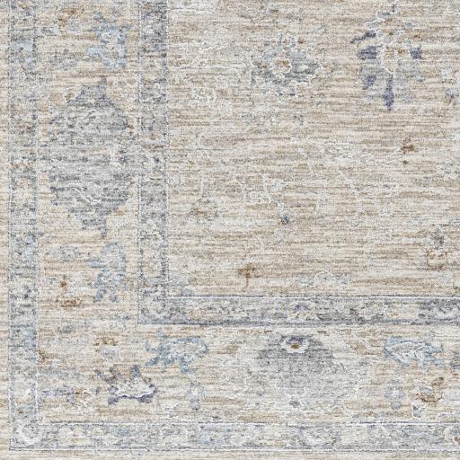 Surya Virginia VGN-2302 2' x 3'11" Rug