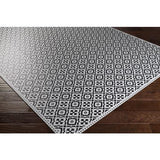 Surya Vinilo VNL-2301 Black White 2' x 3'11" Rug