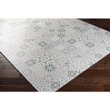 Surya Vinilo VNL-2306 Cream Medium Gray 2' x 3'11" Rug