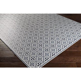 Surya Vinilo VNL-2305 Black Cream 2' x 3'11" Rug