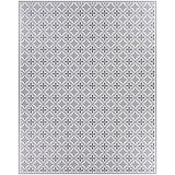 Surya Vinilo VNL-2305 2' x 3'11" Rug