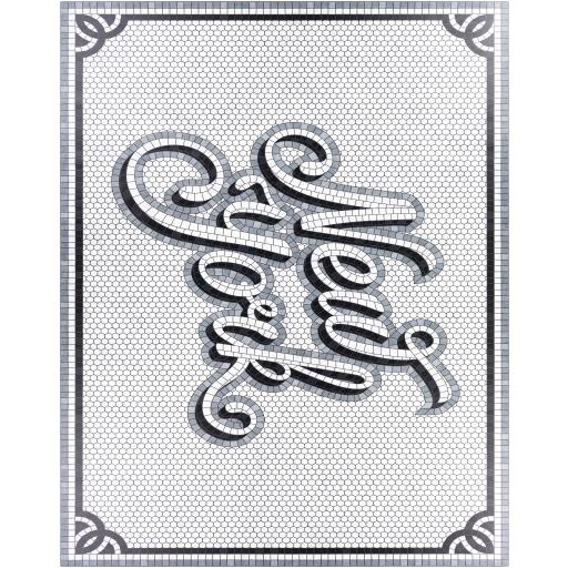 Surya Vinilo VNL-2311 2' x 3'11" Rug