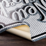 Surya Vinilo VNL-2311 2' x 3'11" Rug
