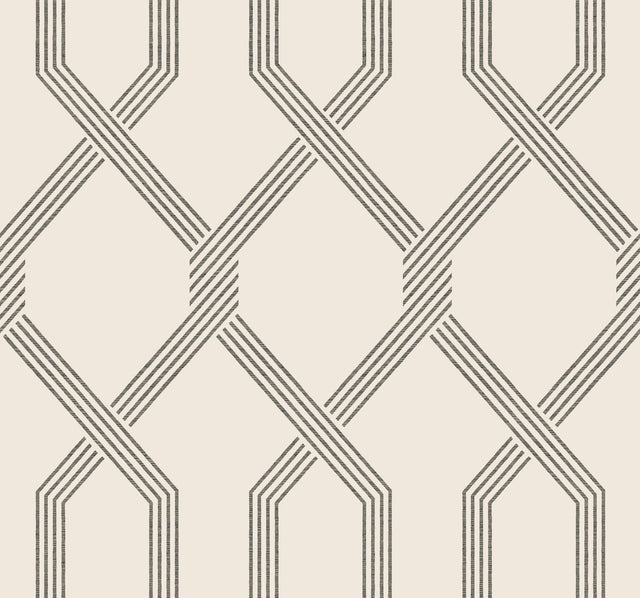 Ronald Redding Designs Palisade Black Wallpaper