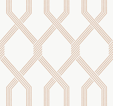 Ronald Redding Designs Palisade Orange Wallpaper