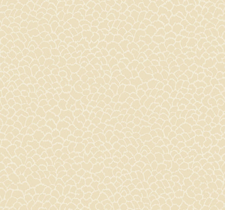 Ronald Redding Designs Nadie Neutral Wallpaper