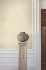 Ronald Redding Designs Nadie Neutral Wallpaper