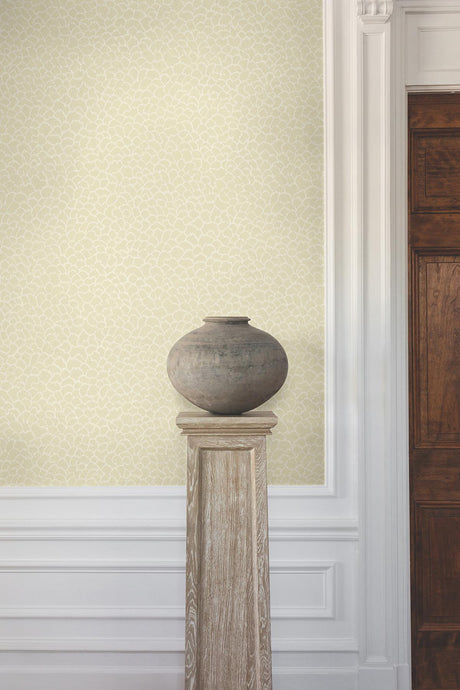 Ronald Redding Designs Nadie Neutral Wallpaper