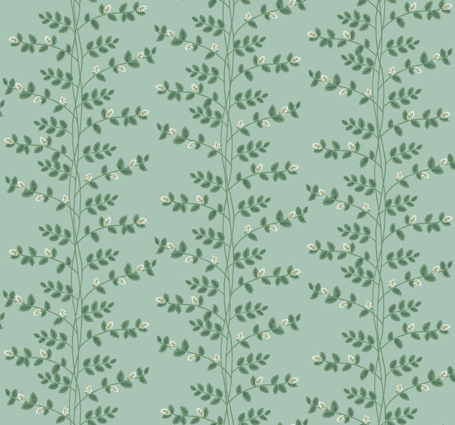 Rifle Paper Co. Climbing Vine Green Wallpaper