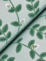 Rifle Paper Co. Climbing Vine Green Wallpaper