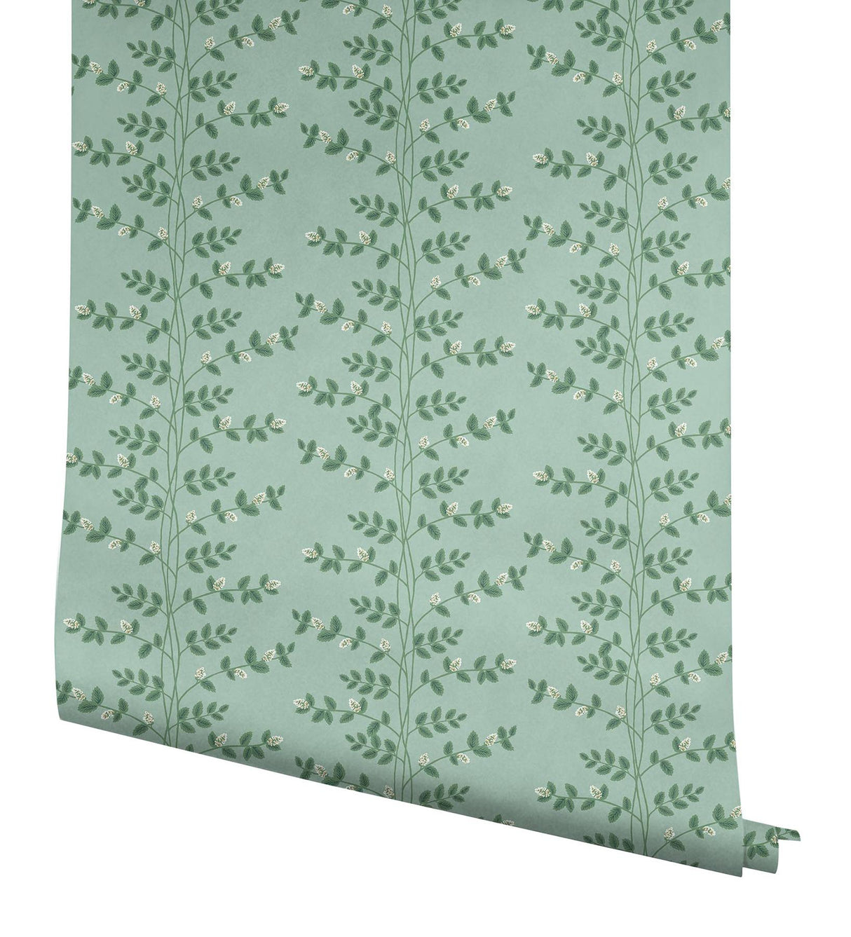 Rifle Paper Co. Climbing Vine Green Wallpaper