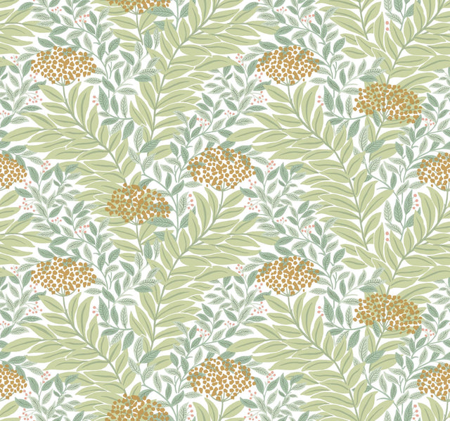 Rifle Paper Co. Highgrove Green Wallpaper