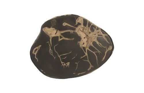 Phillips Collection Cast Petrified Wood Wall Tile Resin Wall Art