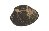 Phillips Collection Cast Petrified Wood Wall Tile Resin Wall Art