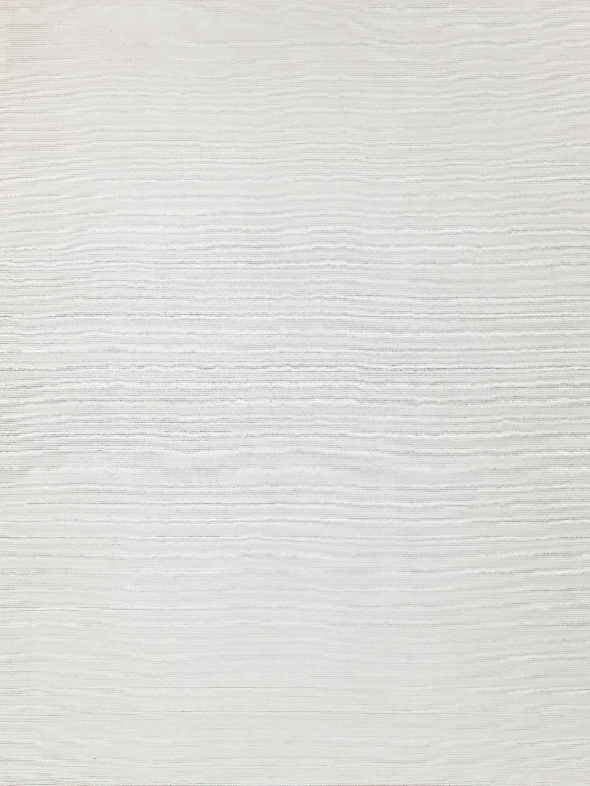 Exquisite Rugs Pavia Modern Handmade Silky Nylon 6757 White 9' x 12' Area Rug