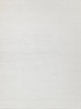 Exquisite Rugs Pavia Modern Handmade Silky Nylon 6757 White 9' x 12' Area Rug