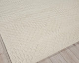 Exquisite Rugs Sandro Handmade Hand-tufted New Zealand Wool on Canvas 7149 Ivory 9' x 12' Area Rug