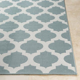 Surya Alfresco ALF-9664 2'5" x 4'5" Rug