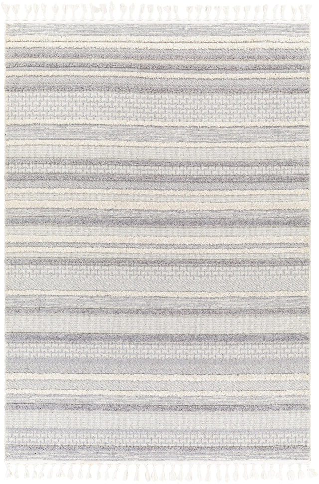 Surya Azilal AZI-2316 2'7" x 7'3" Rug